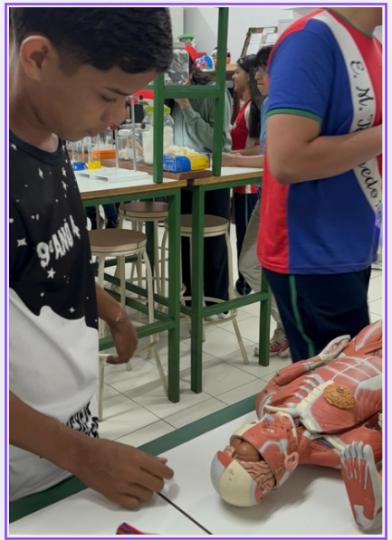 1º Intercâmbio Estudantil Ciência em Educação Integral:
Territórios Formativos Científicos - Imagem 4