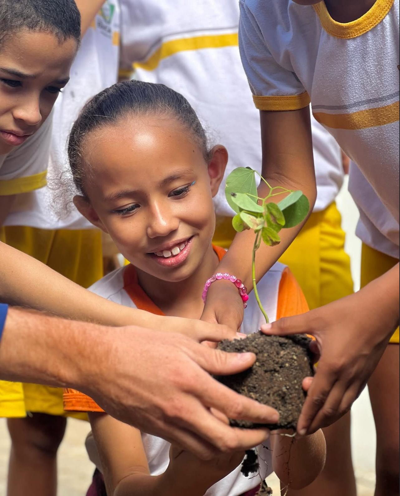 A Educação Integral e Integrada em Jornada Ampliada da Rede Municipal de Educação de Irecê: a experiência do Currículo por Ciclo de Formação Humana - Imagem 3