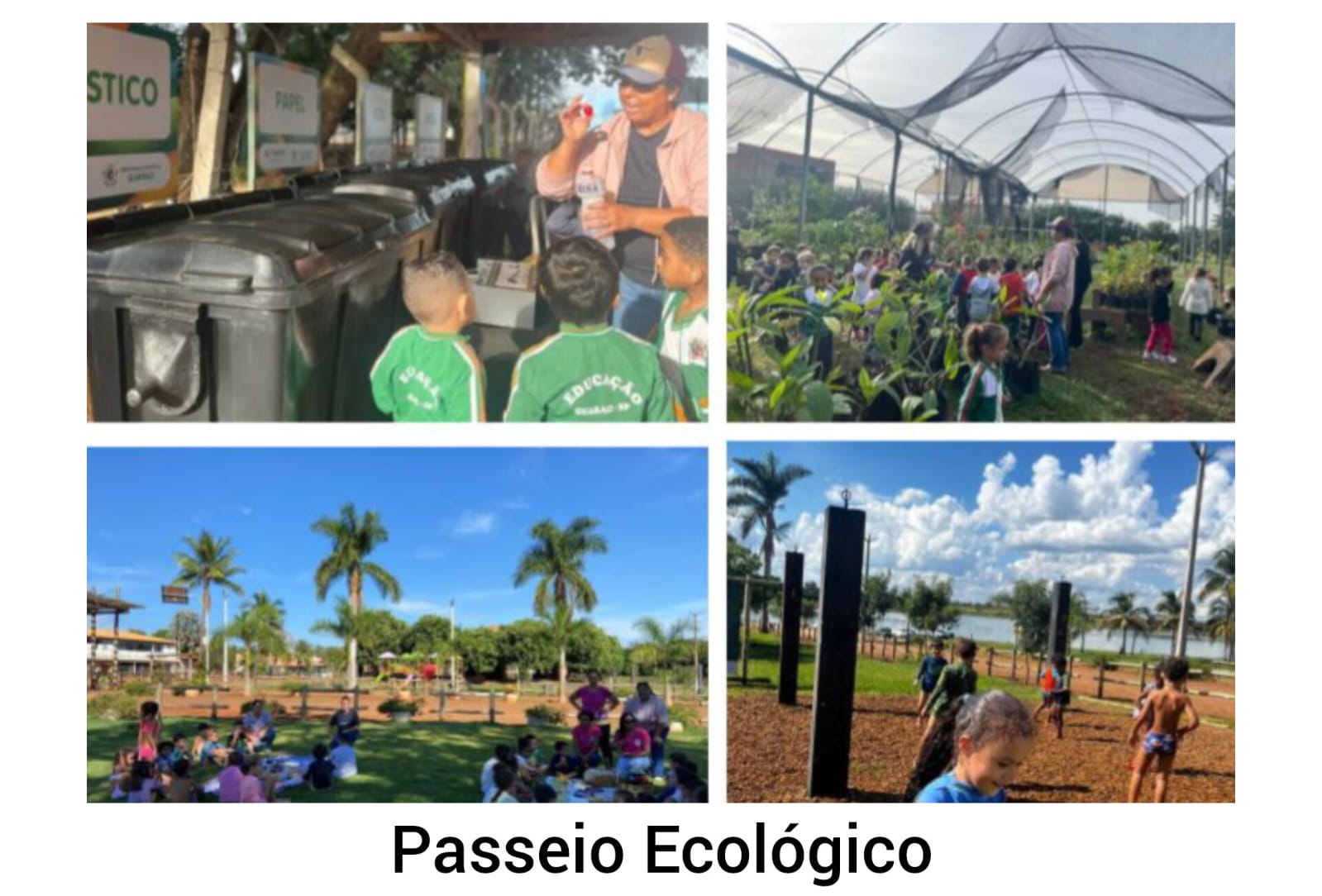 A Natureza e a Cultura Indígena - Imagem 4