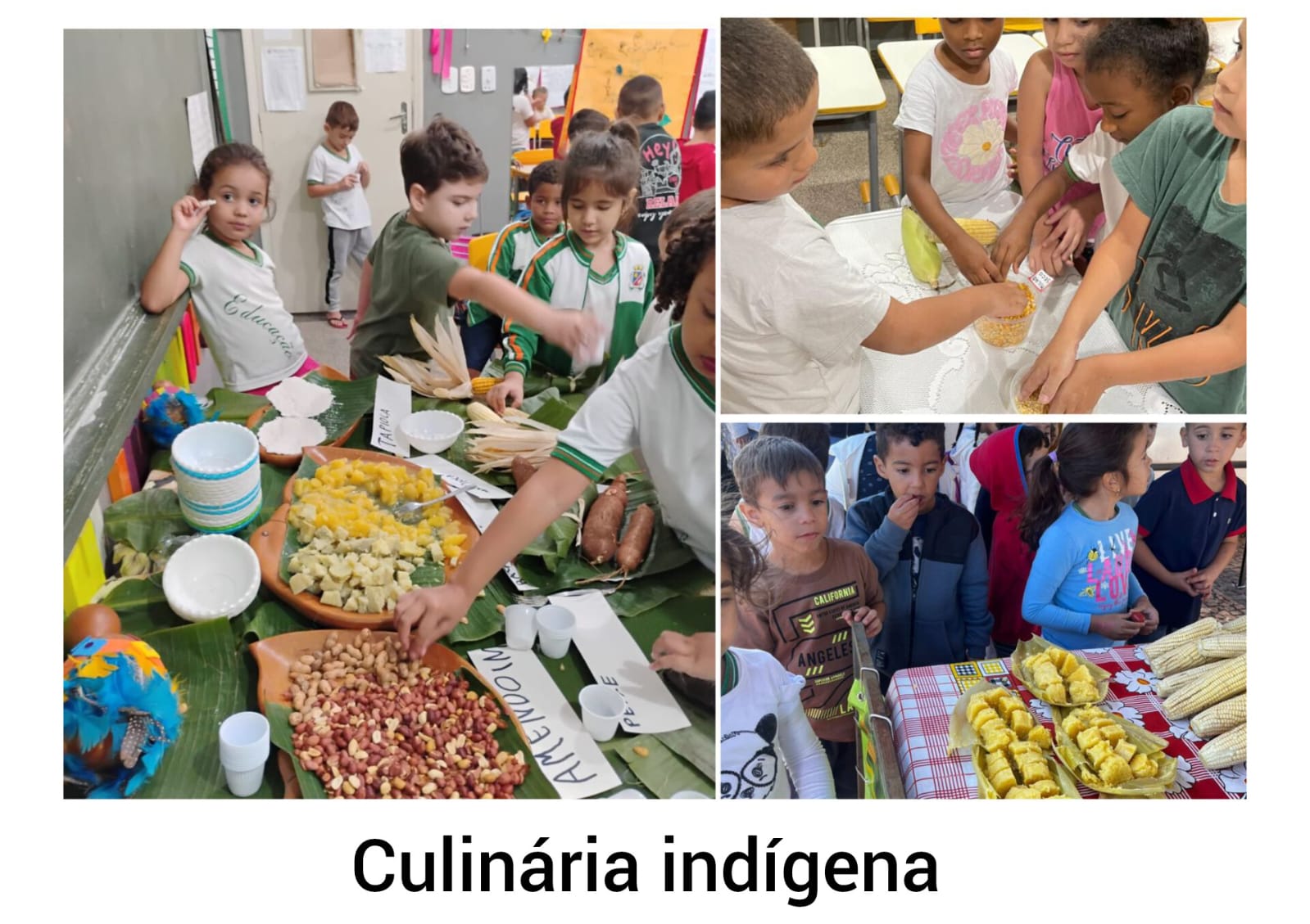 A Natureza e a Cultura Indígena - Imagem 5