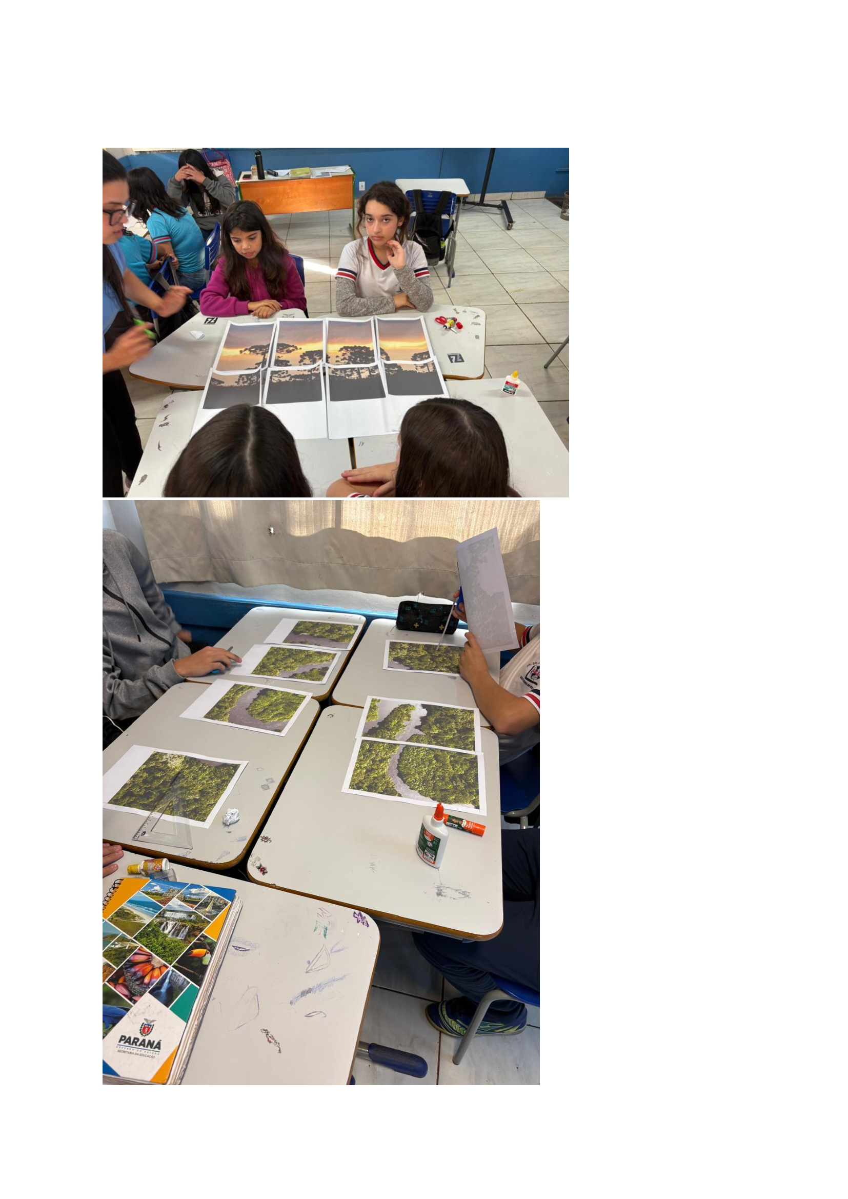 AEE-I na Educação em Tempo Integral no Paraná: Presença, Potencialidades e Protagonismo