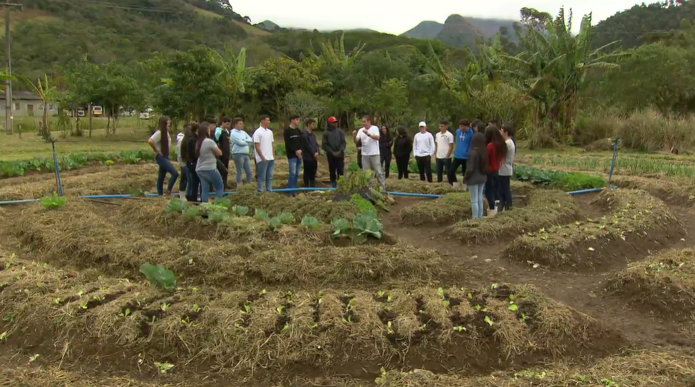 Colégio Municipal CEFFA Rei Alberto I: Uma Jornada de Educação Integral no Campo - Imagem 1