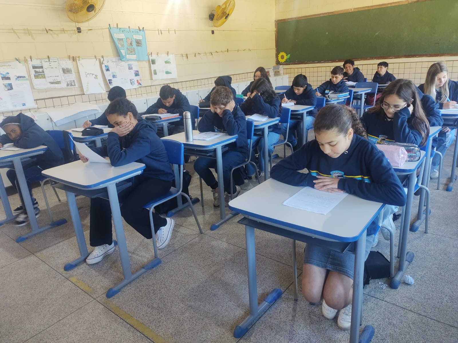 Colégio Municipal CEFFA Rei Alberto I: Uma Jornada de Educação Integral no Campo - Imagem 2