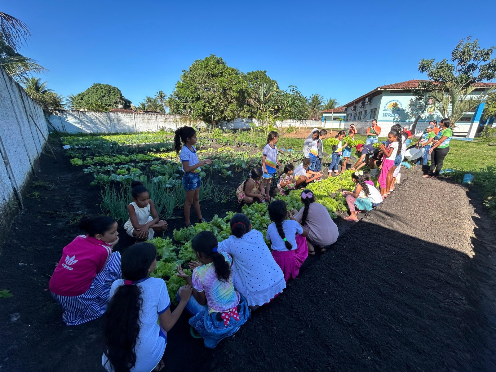 Do Chão da Escola à Comunidade: Vivências da Educação de Tempo Integral no Campo - Imagem 1