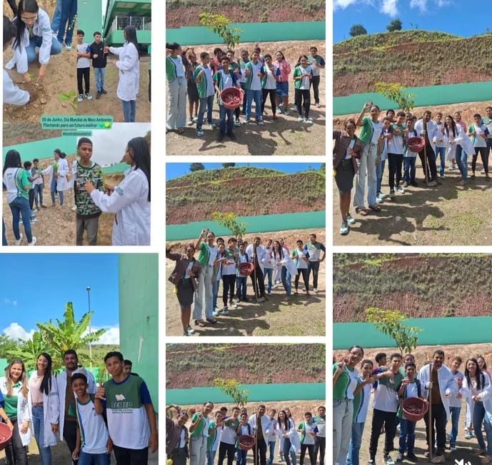 Do Solo à Vida: Educação para a Sustentabilidade