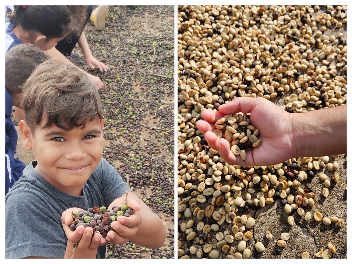Do Território Brotam Saberes e Biodiversidade que Encantam - Imagem 2