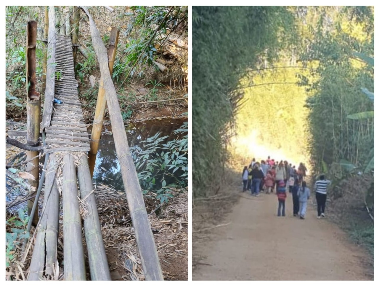 Do Território Brotam Saberes e Biodiversidade que Encantam - Imagem 3