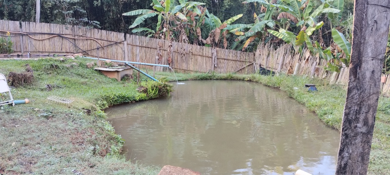 Do Território Brotam Saberes e Biodiversidade que Encantam - Imagem 4