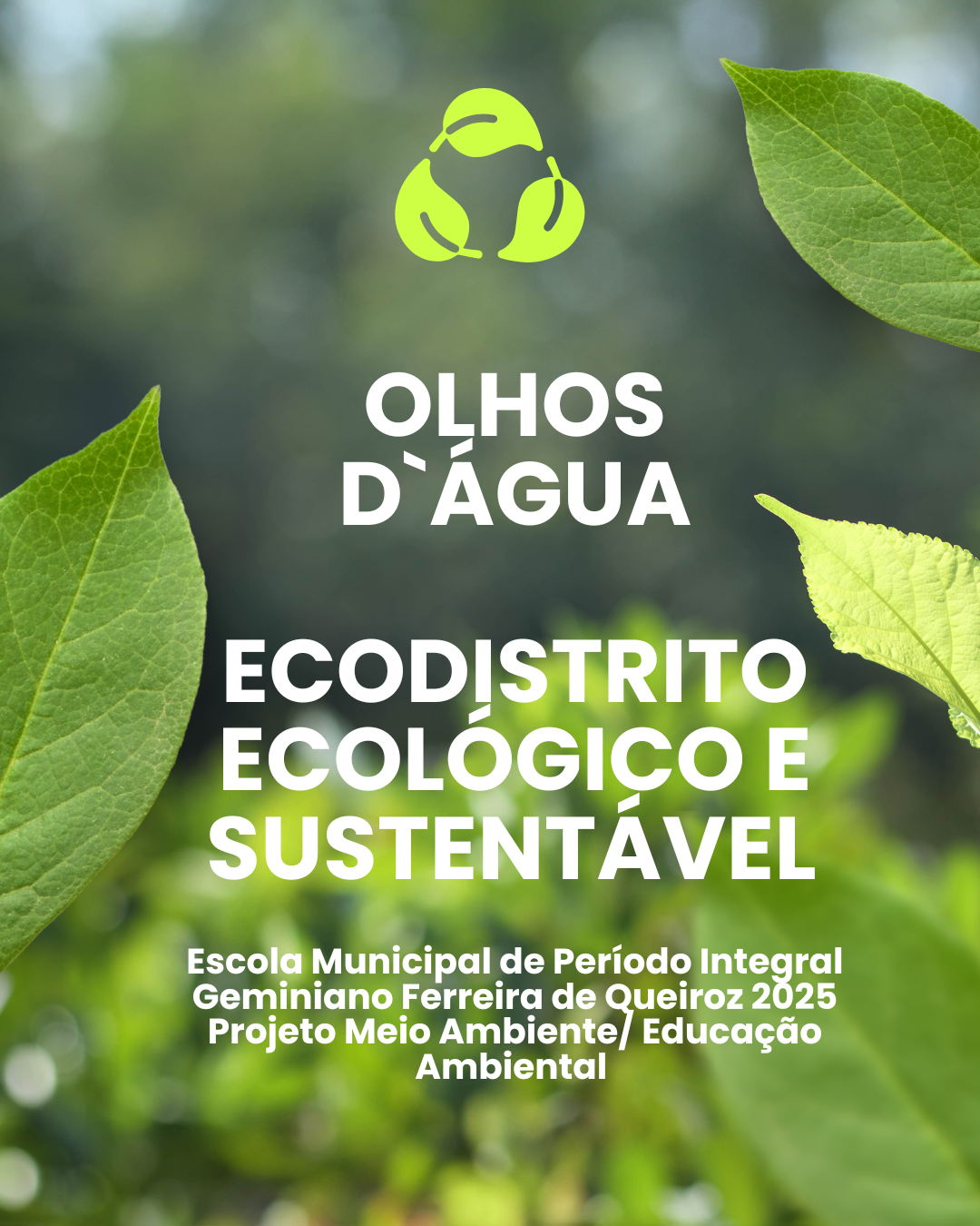 Ecodistrito Criativo: A Escola Municipal de Período Integral Geminiano Ferreira de Queiroz como Espaço de Cultura e Sustentabilidade