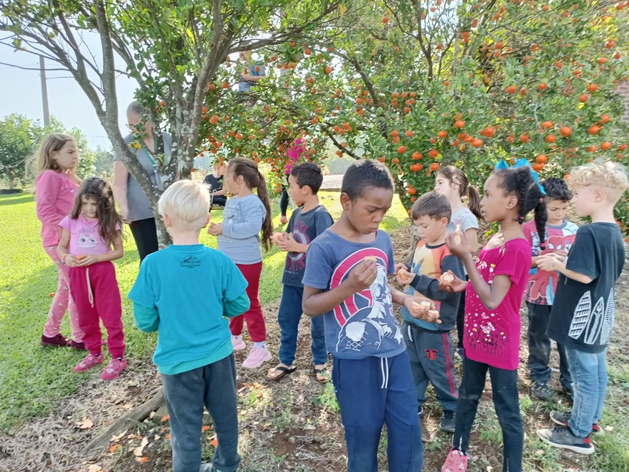 Educação em Tempo Integral: Fortalecendo a Gestão Democrática e o Protagonismo da Comunidade Escolar - Imagem 1