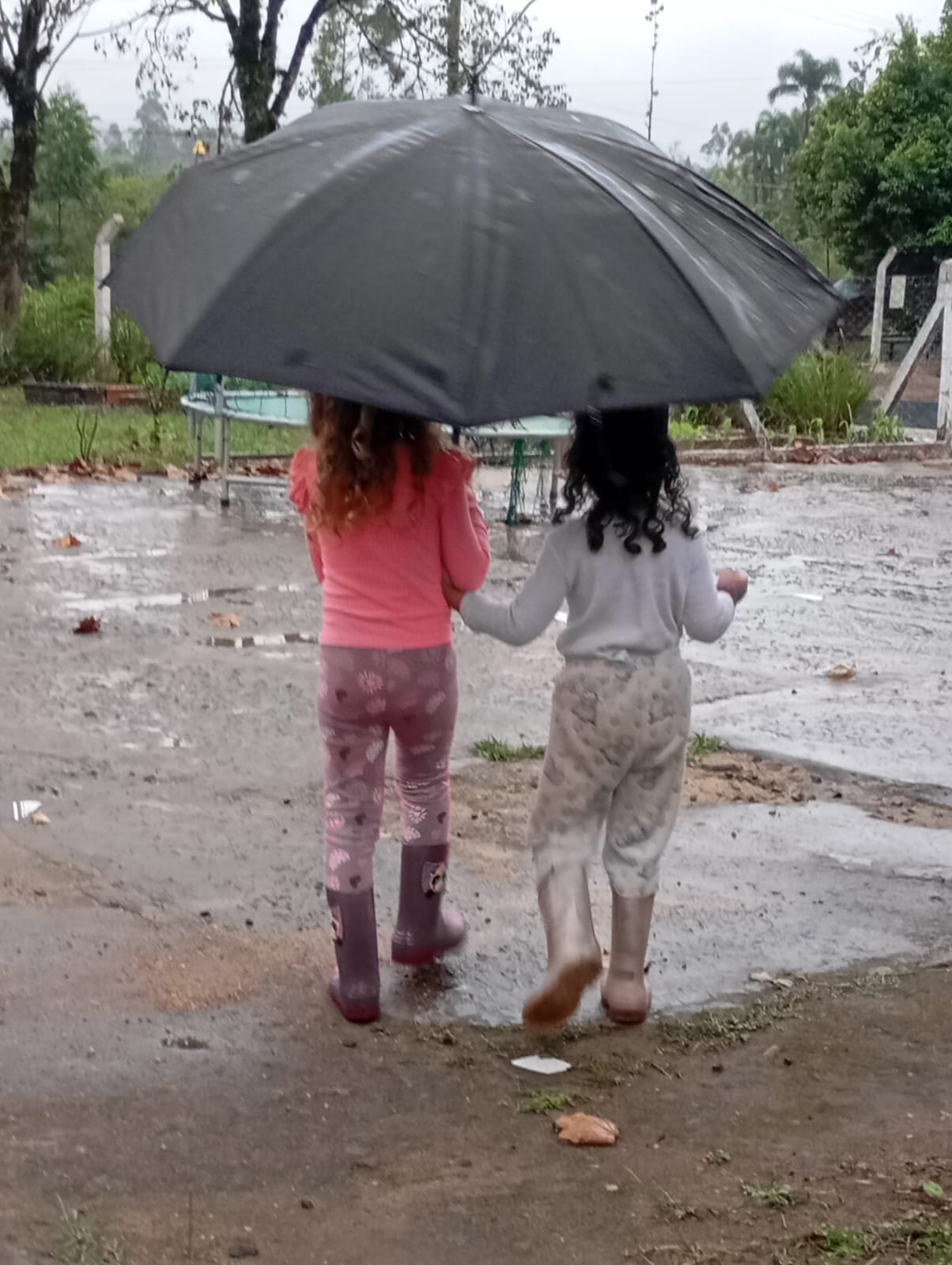 Educação Integral em Tempo Integral em Nova Hartz: Currículo Integrado e Práticas Pedagógicas que Transformam a Infância