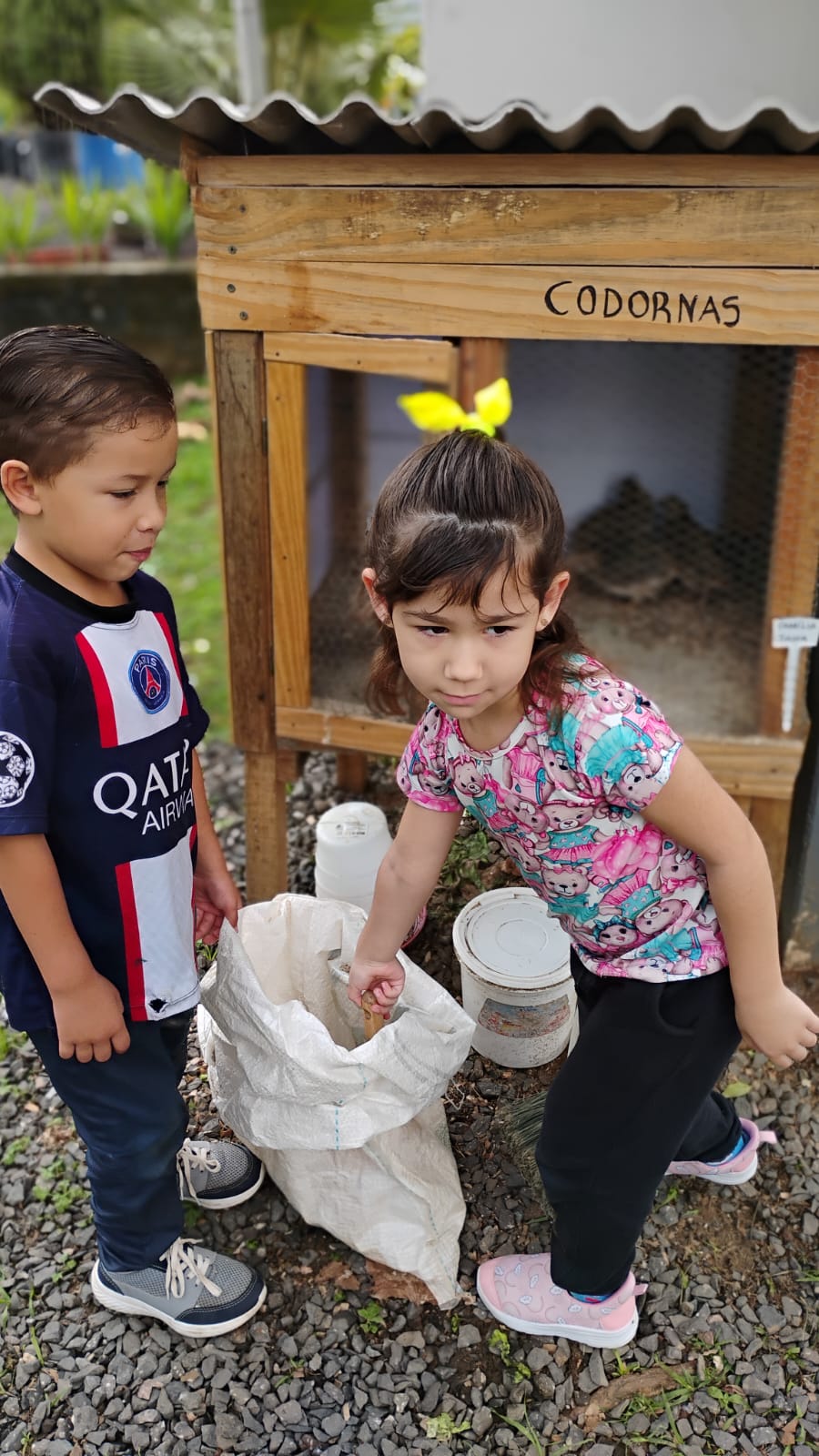 Educação Integral em Tempo Integral em Nova Hartz: Currículo Integrado e Práticas Pedagógicas que Transformam a Infância - Imagem 1