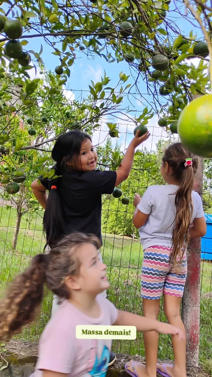 Educação Integral em Tempo Integral em Nova Hartz: Currículo Integrado e Práticas Pedagógicas que Transformam a Infância - Imagem 2