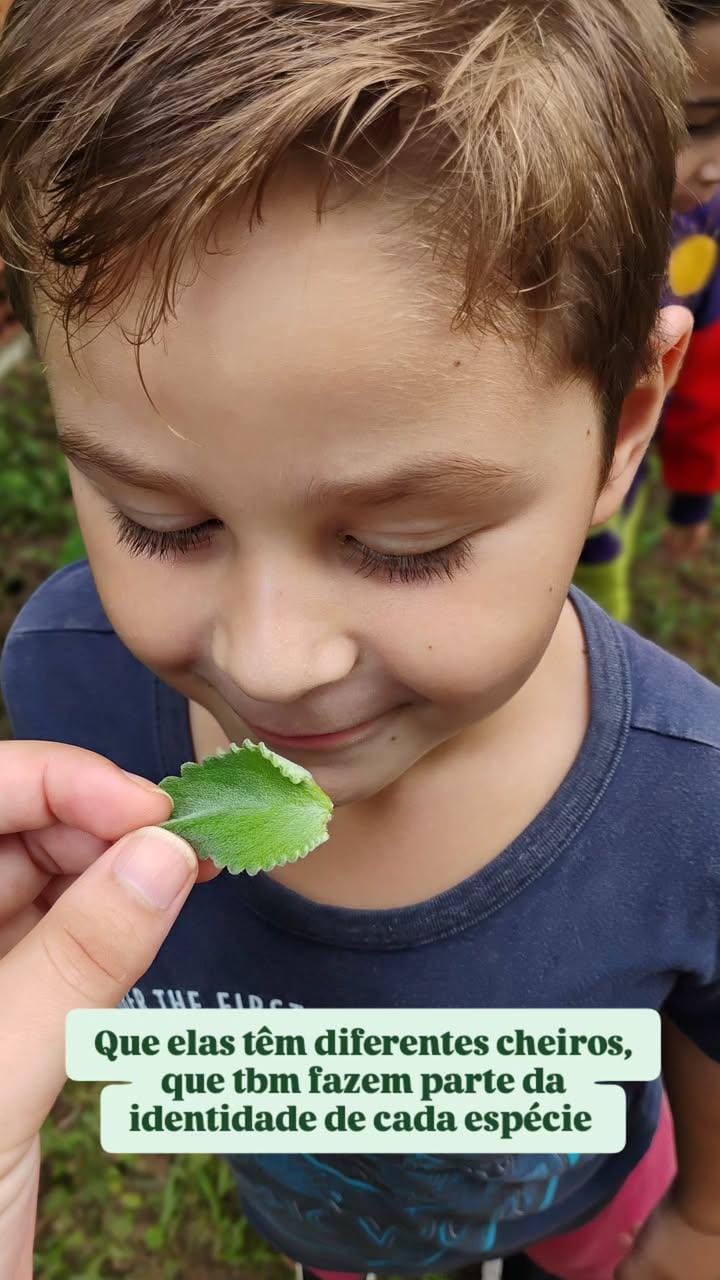 Educação Integral em Tempo Integral em Nova Hartz: Currículo Integrado e Práticas Pedagógicas que Transformam a Infância - Imagem 4