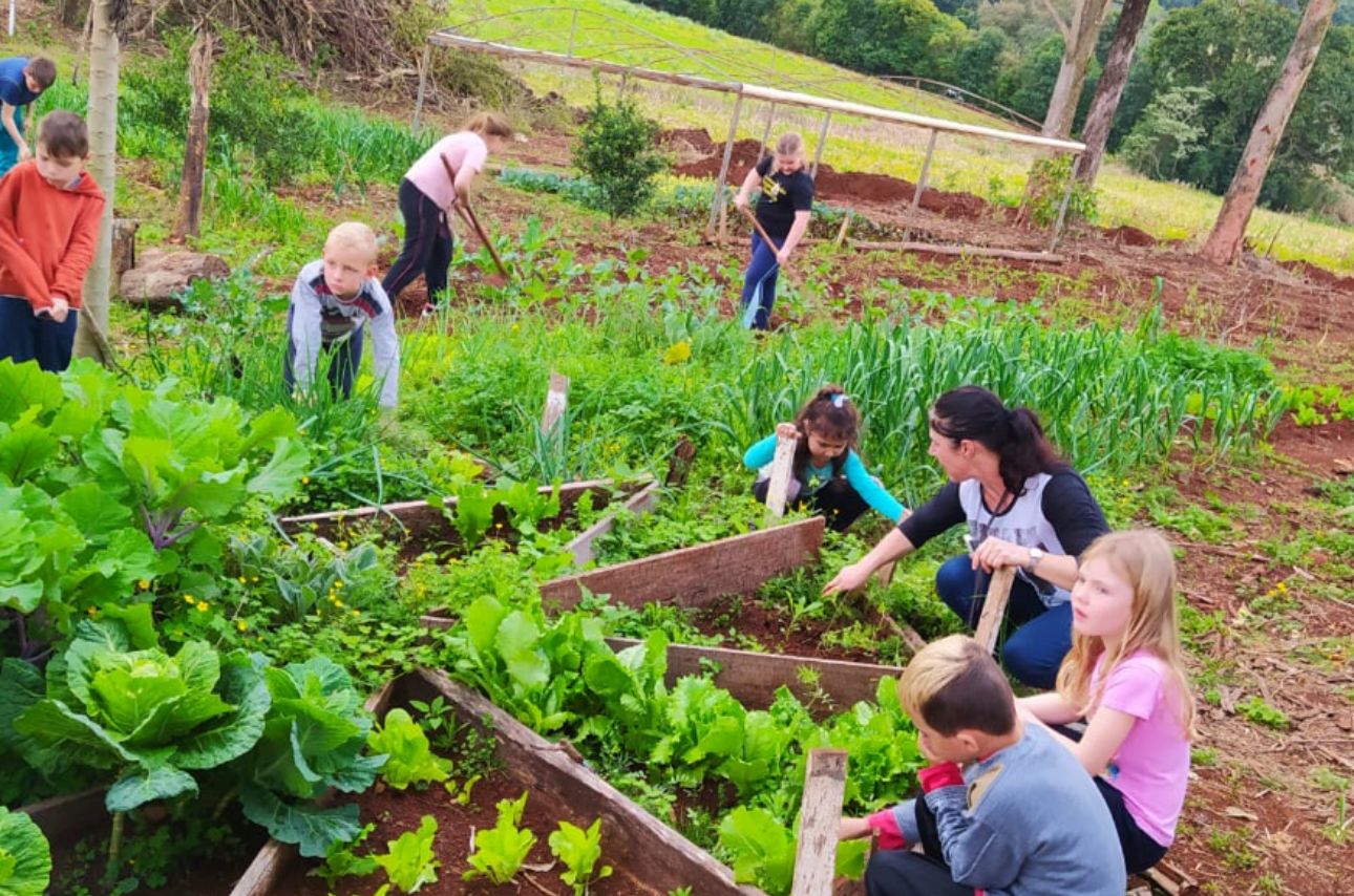 Educação Integral na Linha Alecrim: uma Escola do Campo entre Fronteiras, Tempos e Saberes