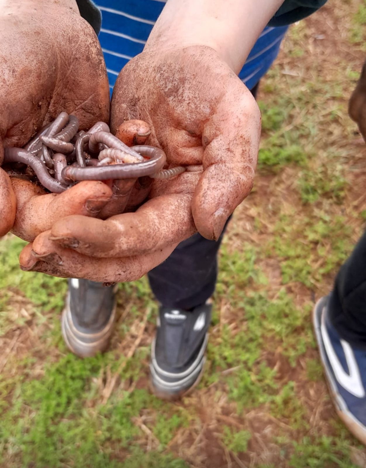 Educação Integral na Linha Alecrim: uma Escola do Campo entre Fronteiras, Tempos e Saberes - Imagem 1