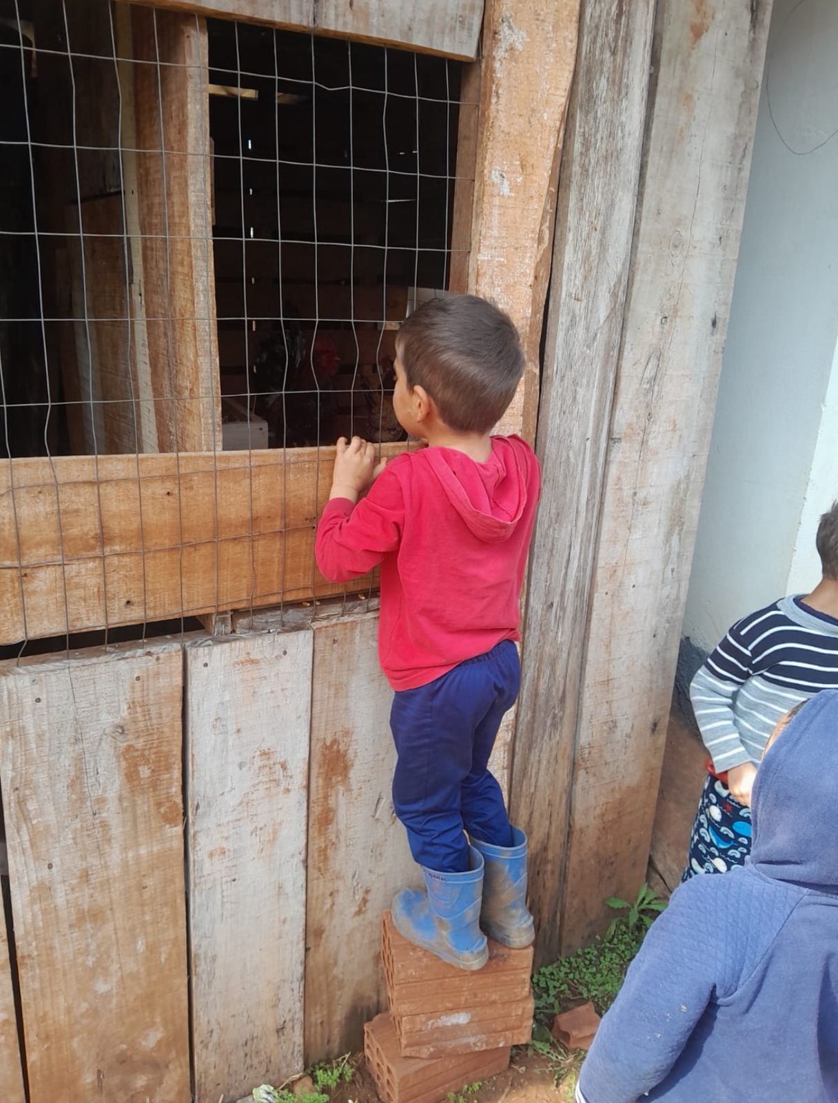 Educação Integral na Linha Alecrim: uma Escola do Campo entre Fronteiras, Tempos e Saberes - Imagem 2