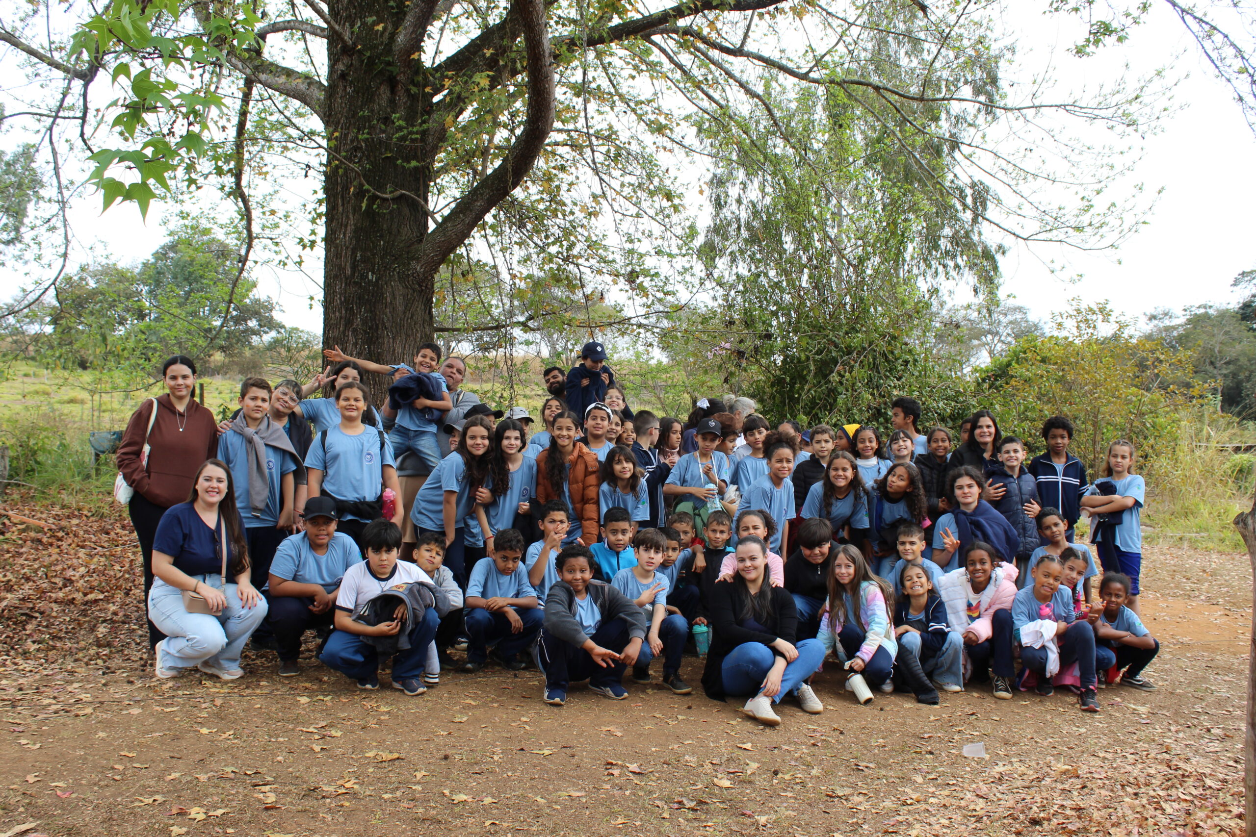 Escola da Vida – Interligando Saberes, Reconhecendo Espaços: Uma Parceria entre o Ensino Integral da EMFD e a Casa da Cultura - Imagem 2