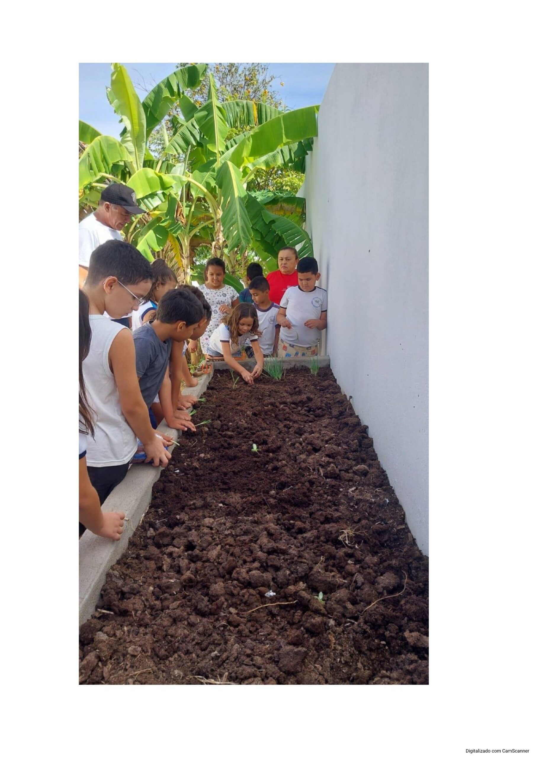 Escolas Municipais de Tempo Integral, Preservando o Meio Ambiente - Imagem 2