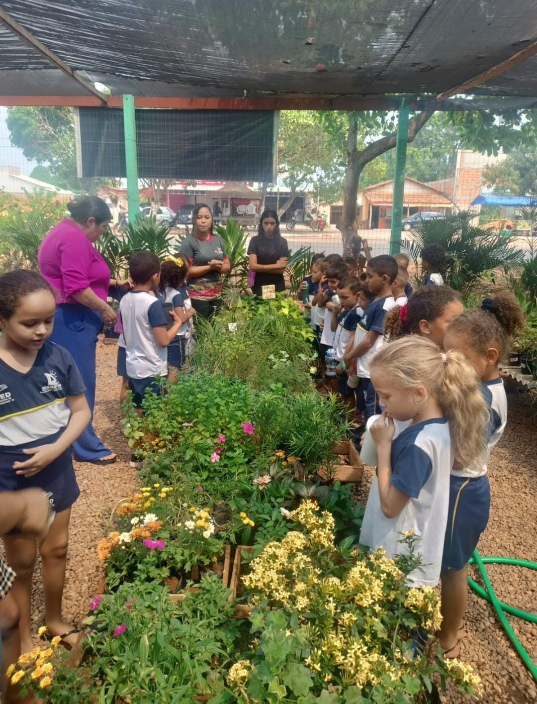 Minha Comunidade, Meus Saberes Construídos: Práticas Pedagógicas Integradoras
através das visitas guiadas - Imagem 1