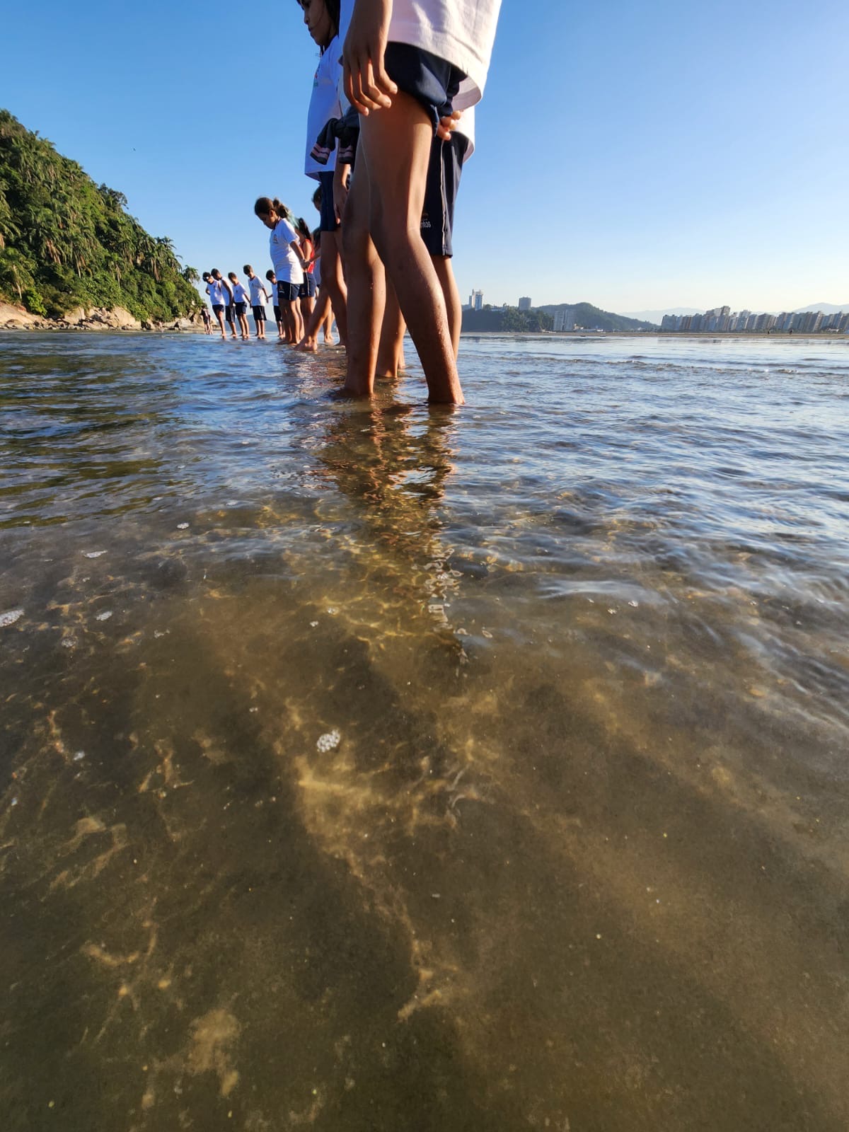 Núcleo Educacional Emissário – Território de Sonhar