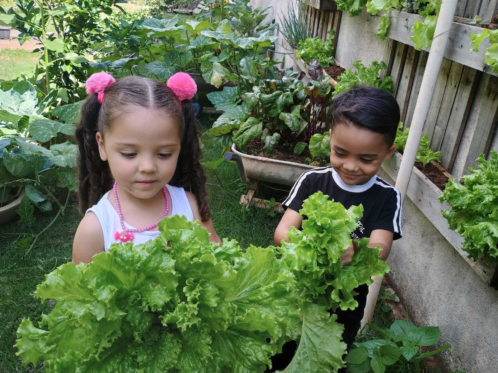 Plantando Sementes, Colhendo Saberes! Horta na Educação Infantil