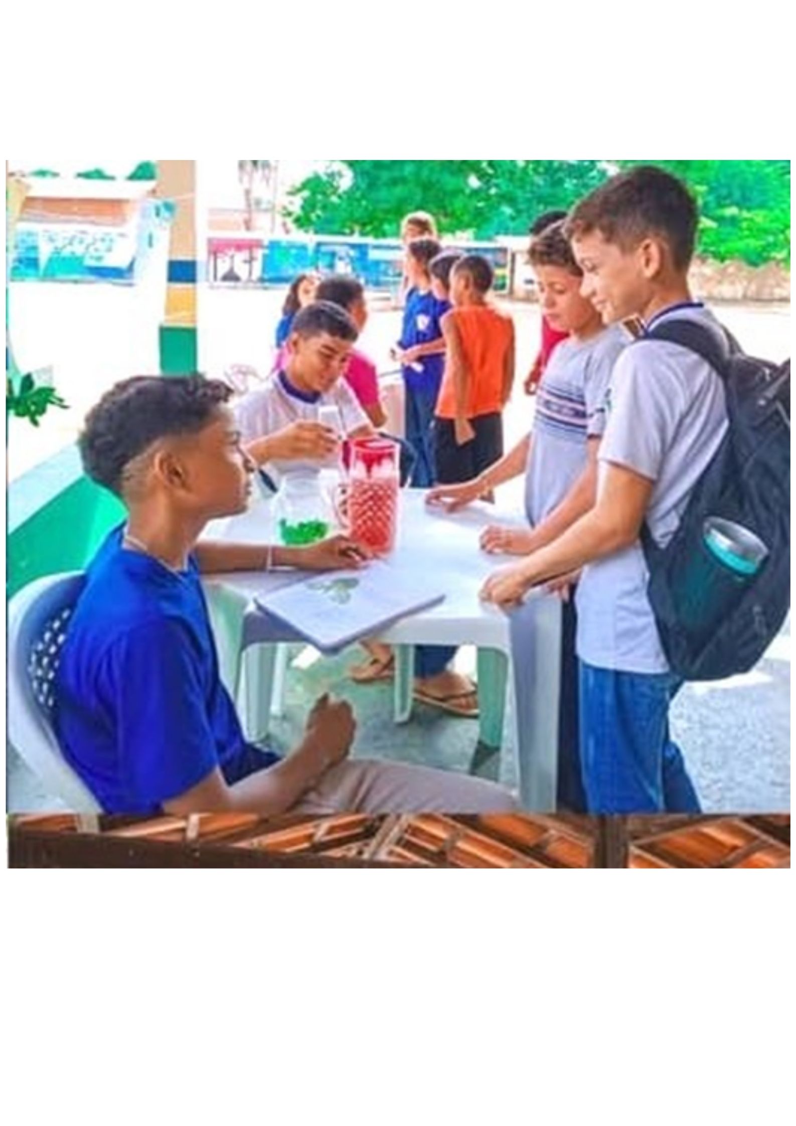 Plantas Medicinais - Imagem 4