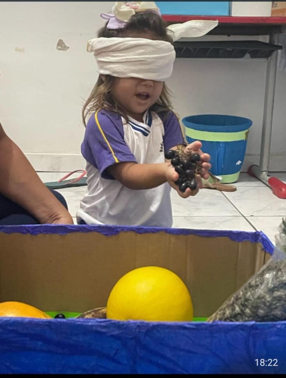 Projeto Alimentação Saudável - Imagem 4