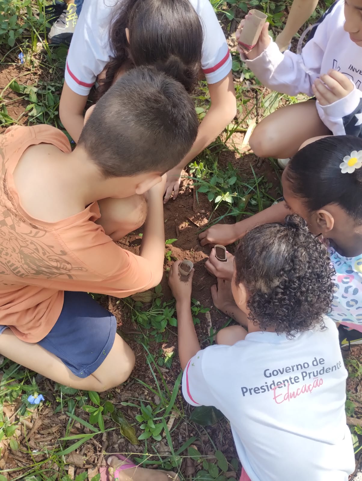 Projeto Especial de Educação Integral do Programa CIDADEESCOLA - Imagem 2