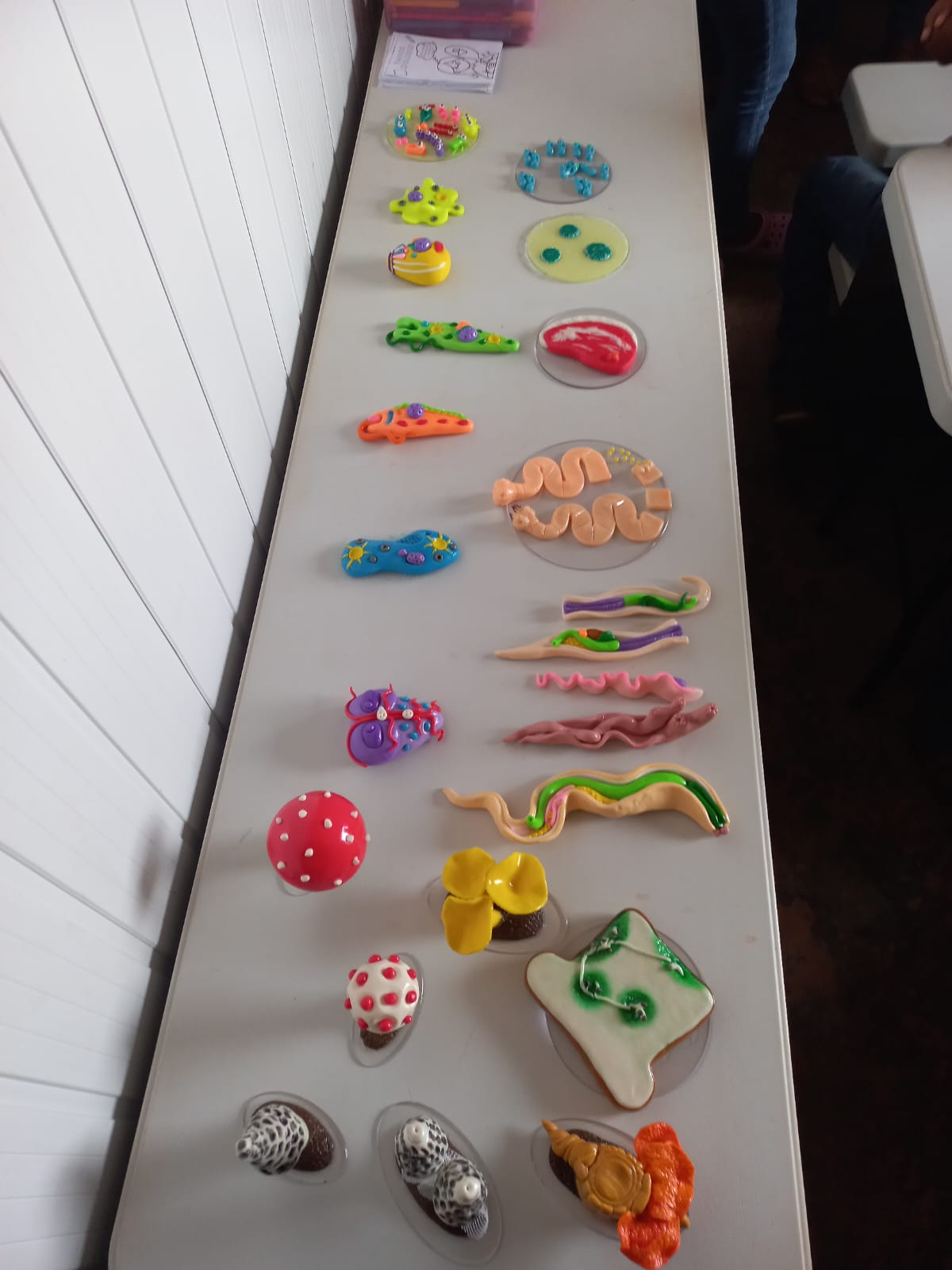 Saúde Ambiental e Representações sobre Educação Ambiental e Saúde no Município de São Félix do Xingu-PA - Imagem 2