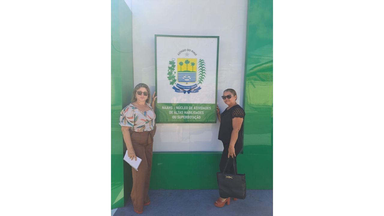 Visita institucional a equipamento de referência da rede, o Centro de Educação Especial (NAAH/S), em Teresina (PI), com apresentação das ações voltadas ao atendimento educacional especializado e à inclusão. Foto: Carmelita Saraiva da Conceição