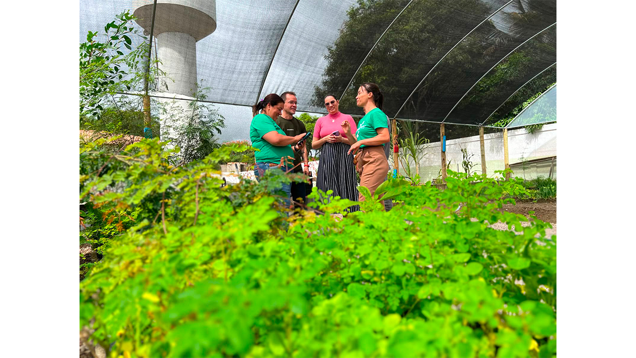 Estufa de mudas do Projeto Educa Peixe, localizada no Povoado do Peixe, na Escola Municipal Antônio Carlos Magalhães, na zona rural de Lagedo do Tabocal (BA). Foto: Equipe organizadora da Secretaria de Educação de Lagedo do Tabocal (BA)