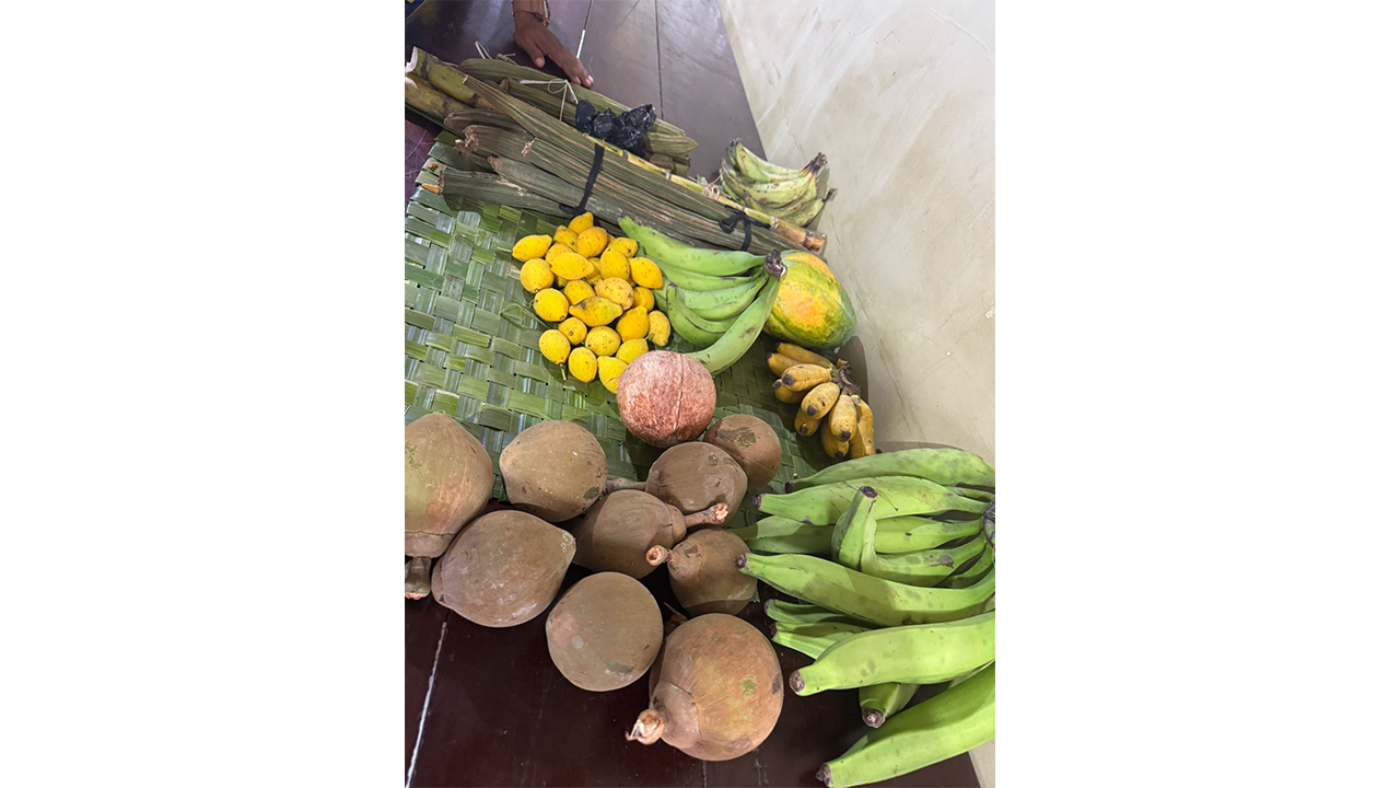 Frutas típicas da Amazônia, na Comunidade Indígena Belém dos Solimões, em Tabatinga (AM). Foto: Sandra Ester Griebeler