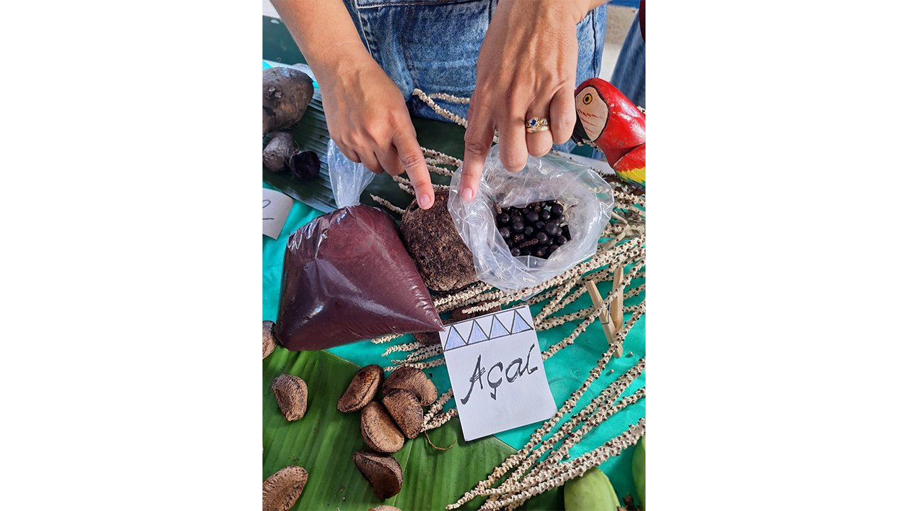 Exposição de gêneros alimentícios típicos tradicionais da região amazônica em feira cultural da Escola Municipal Dom Bosco, em Humaitá (AM). Foto: Amanda Reis dos Santos
