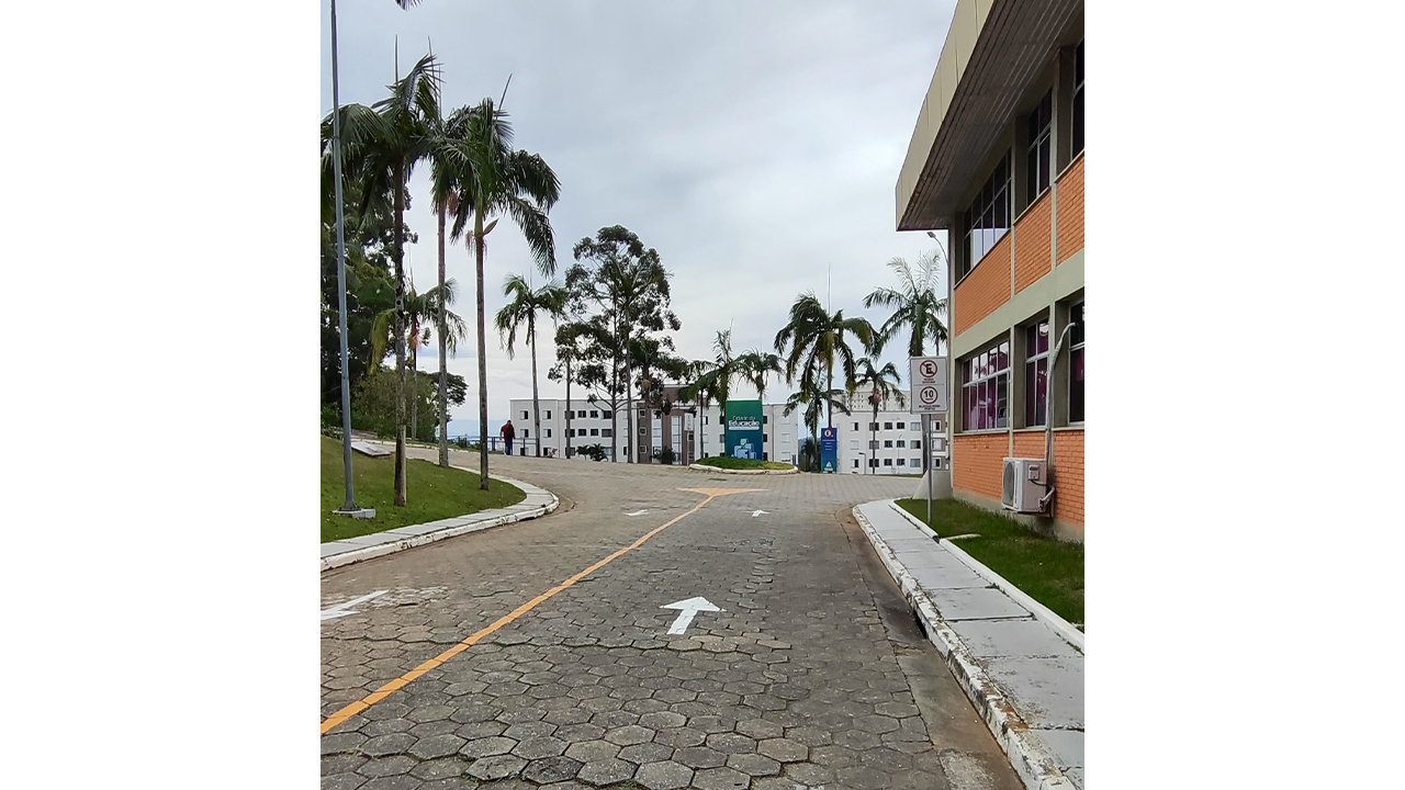 Rua pavimentada em um complexo institucional, sob céu nublado. O cenário é cercado por prédios baixos, gramados laterais e palmeiras altas. À direita, há um prédio baixo de tijolos.