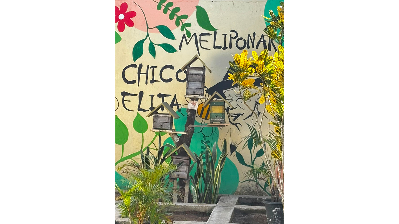 Área externa com plantas e pequenas caixas de madeira utilizadas como colmeias. Ao centro, quatro caixas estão fixadas em um tronco. Ao fundo, há um mural pintado em uma parede amarela, com ilustrações de folhas, uma abelha e uma figura humana.