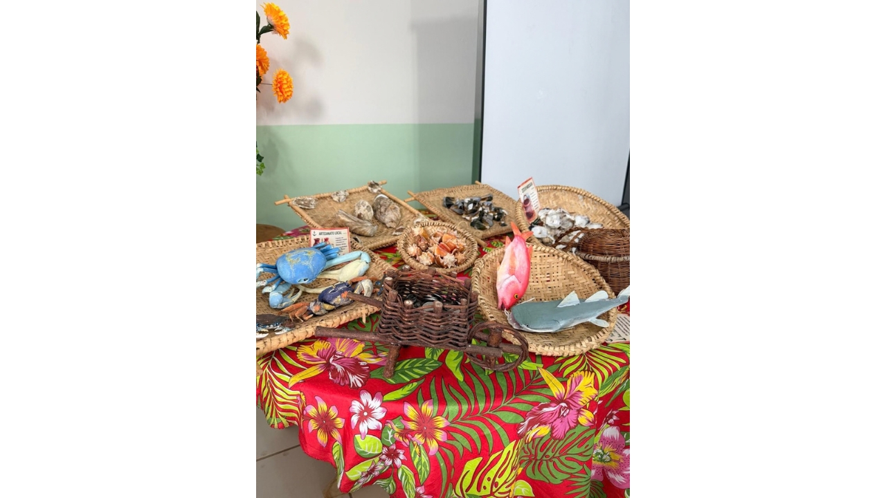 Mesa de exposição coberta com tecido floral vermelho. Sobre ela, há cestos de palha com conchas, crustáceos, peixes artesanais e objetos de fibras naturais. Pequenas placas identificam os itens, e, ao fundo, observa-se uma parede clara com faixa verde.