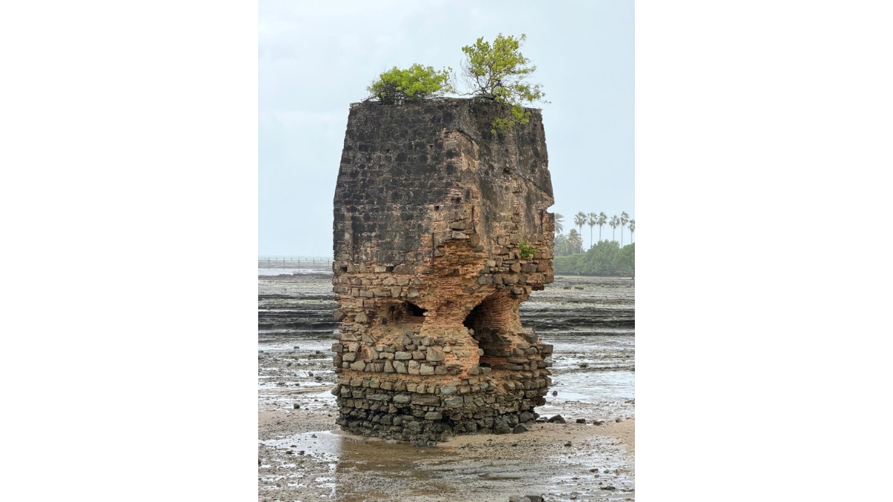 Área litorânea com uma antiga estrutura de pedra em ruínas. A construção apresenta partes desgastadas, aberturas na base e vegetação crescendo no topo. Ao fundo, observam-se uma faixa de maré baixa, vegetação e palmeiras.